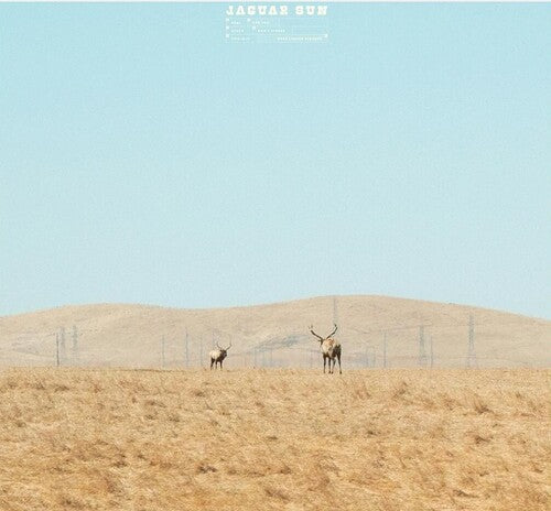 Jaguar Sun | For You (LP)