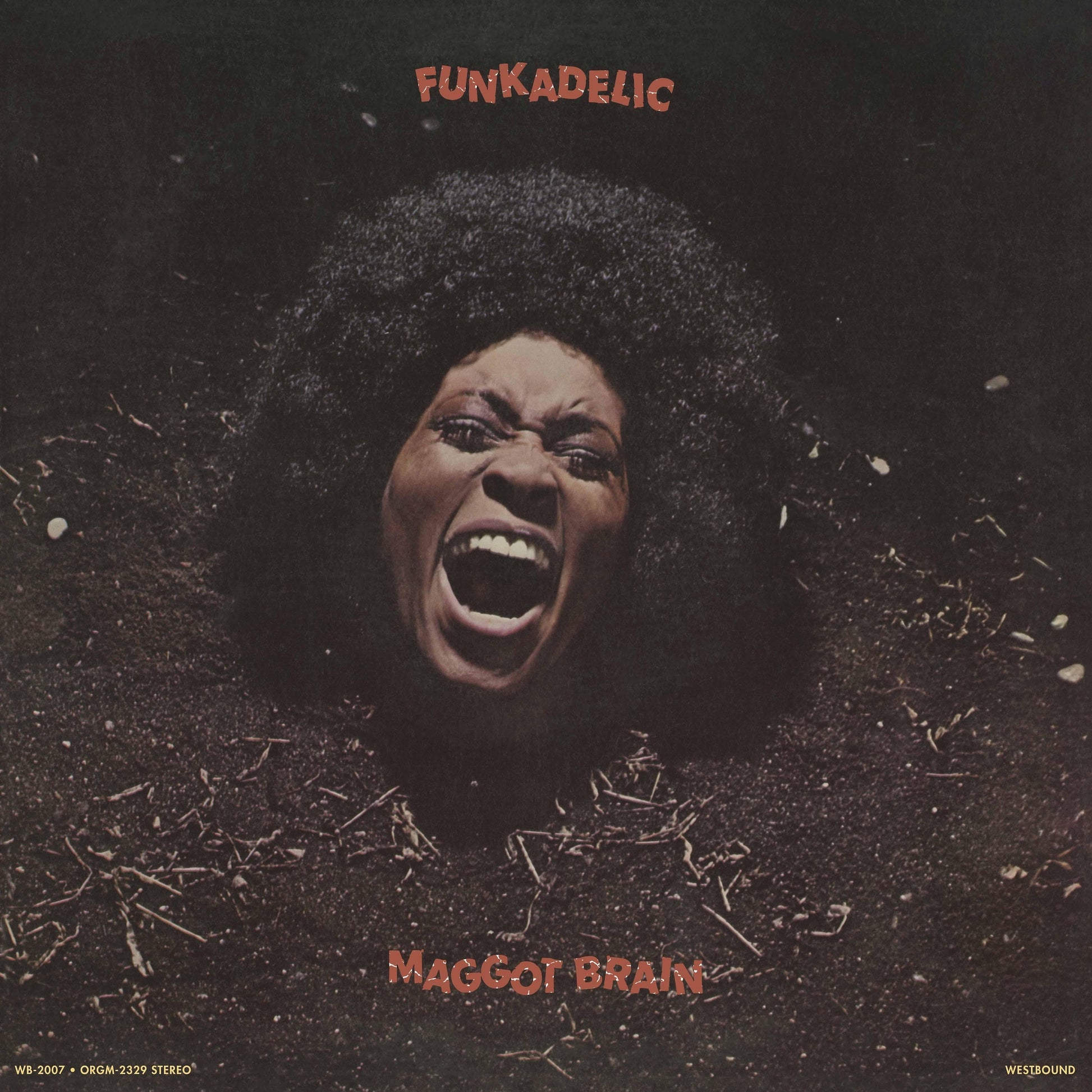 Maggot Brain [Black LP]