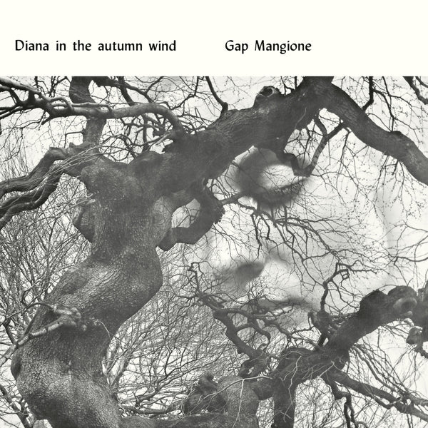 Diana In The Autumn Wind [LP]