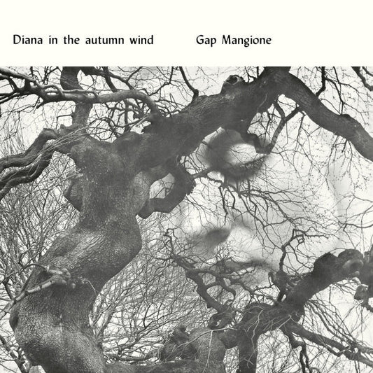Diana In The Autumn Wind [LP]