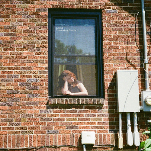 Observing Chaos [Brown Vinyl]