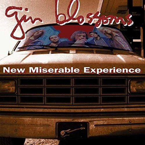 New Miserable Experience [Import]