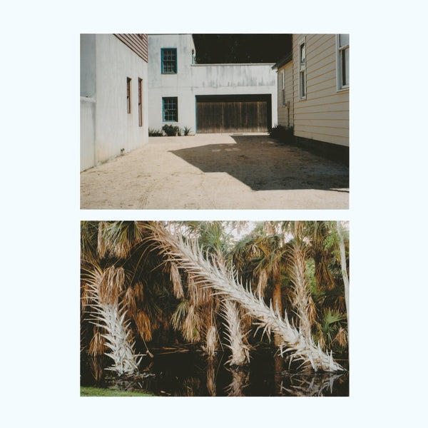 The Vestige [Lp]