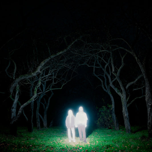 Losey (Indie Exclusive) [Slate Gray Vinyl]