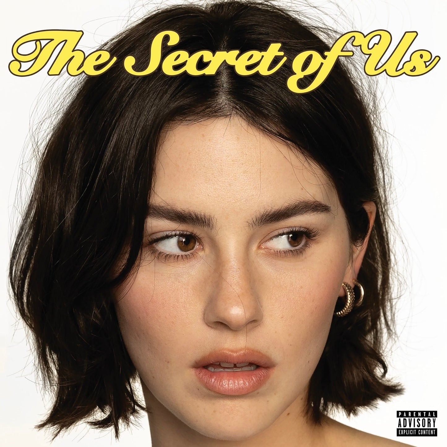 The Secret Of Us [Dark Pomegranate LP]