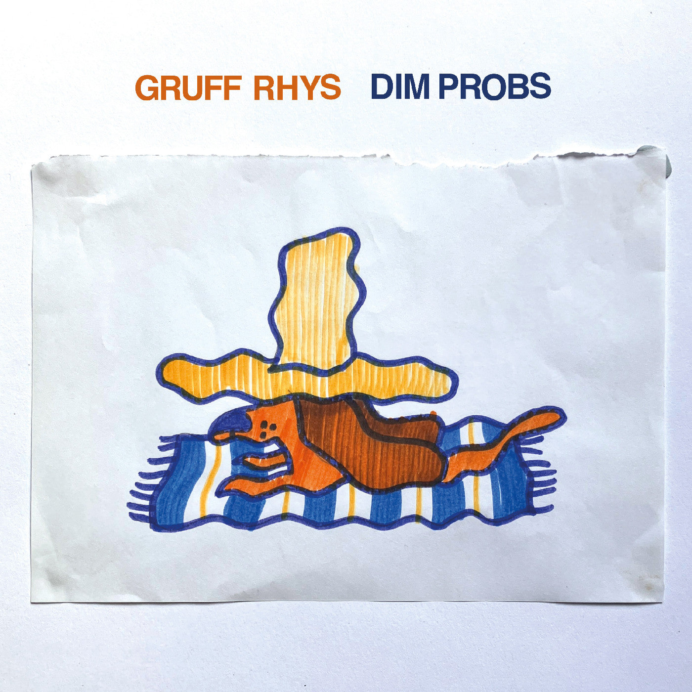 Dim Probs (Indie Exclusive Orange Vinyl)
