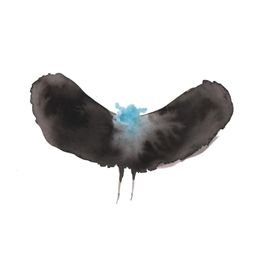 Haywardxdälek [CD]