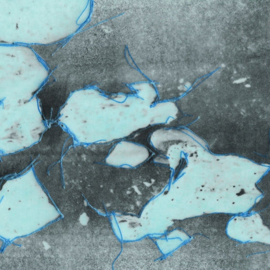 Two Lonely Space Cowboys [Lp]