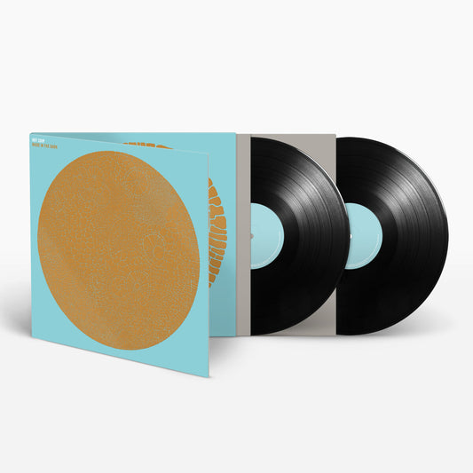Hot Chip Made in the Dark deluxe 2LP black vinyl reissue