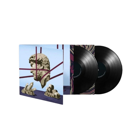 Hot Chip One Life Stand black 2LP vinyl reissue