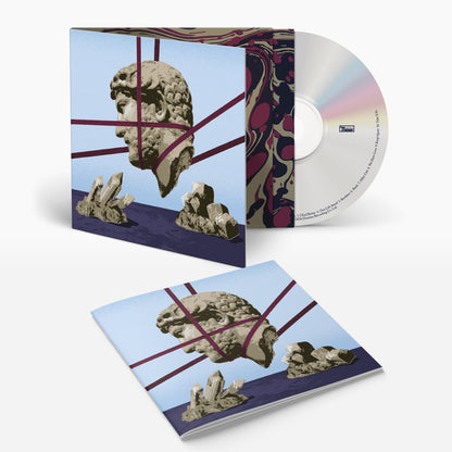 Hot Chip One Life Stand CD reissue