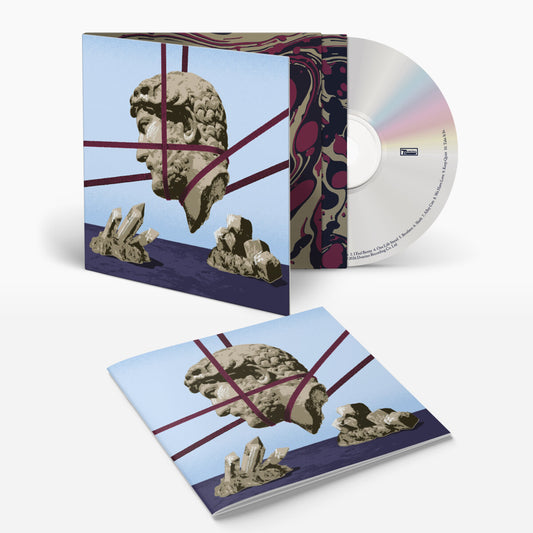 Hot Chip One Life Stand CD reissue