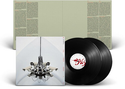 This Mirror Weighs a Ton (2 Lp's)