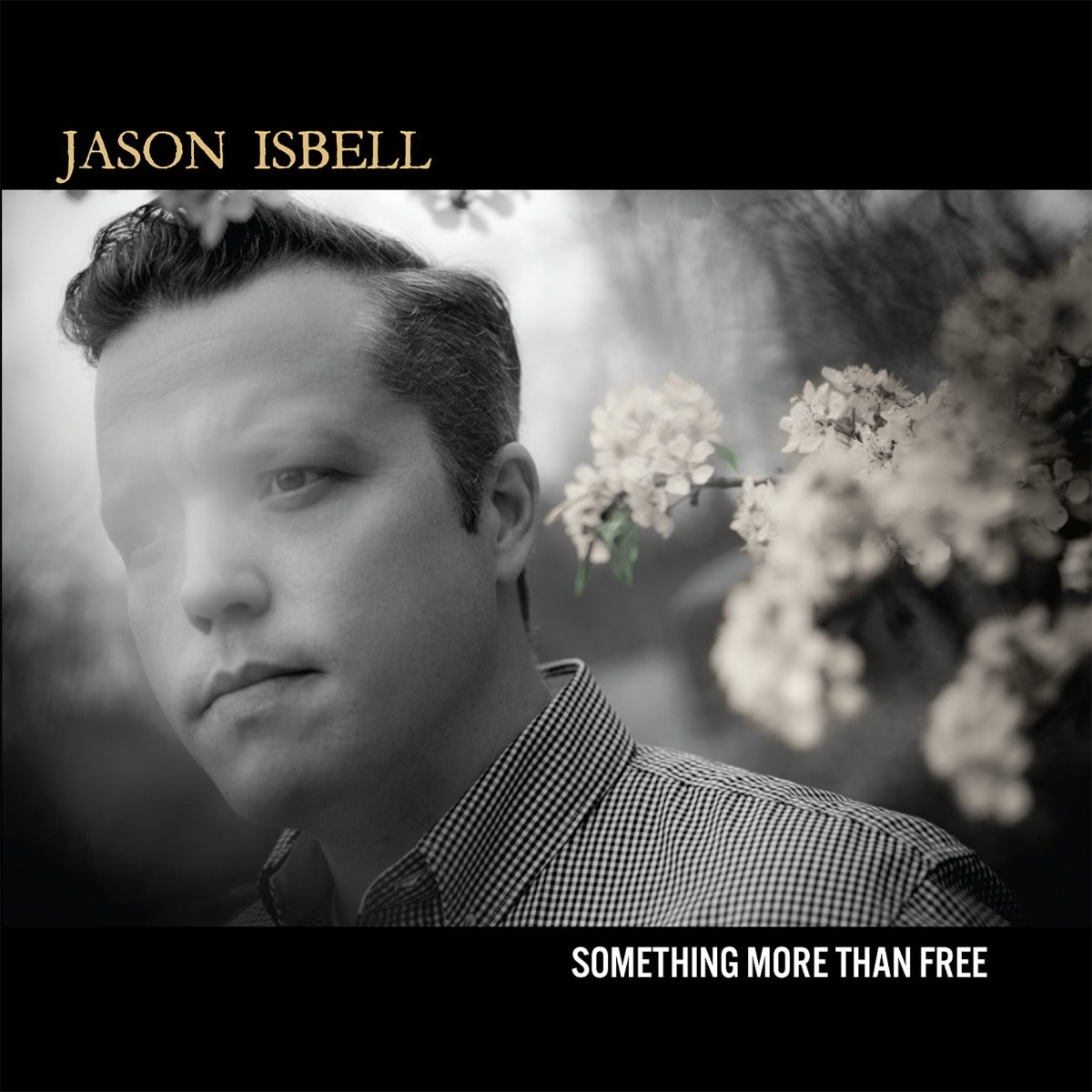 Something More Than Free (10 Year Anniversary Edition) (Indie Exclusive Denim Vinyl) [2LP]