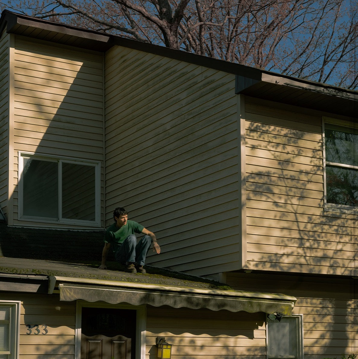 Garden State (Indie Exclusive) (Garden State Green Vinyl)