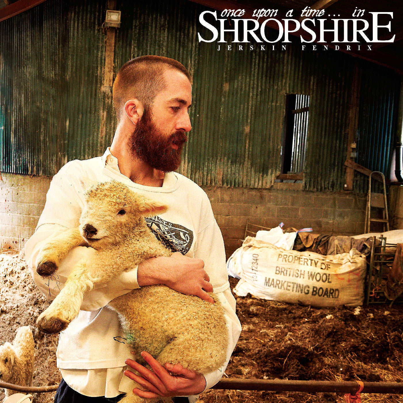Once Upon A Time. . . In Shropshire (Shropspire Mud Brown Vinyl)