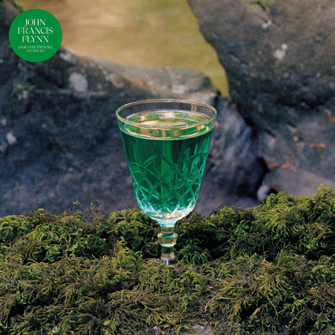 Look Over The Wall See The Sky (Indie Exclusive Green Vinyl)