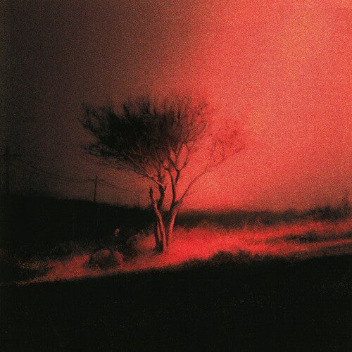 Piss In The Wind [Explicit Content] (Indie Exclusive, Prism Colored Vinyl)