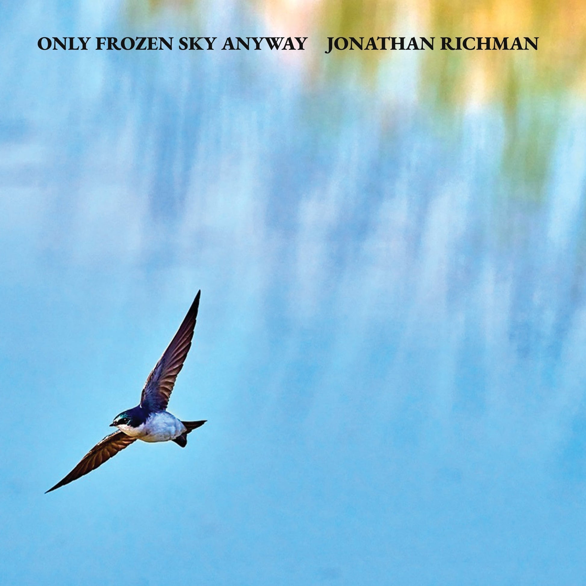 Only Frozen Sky Anyway LP