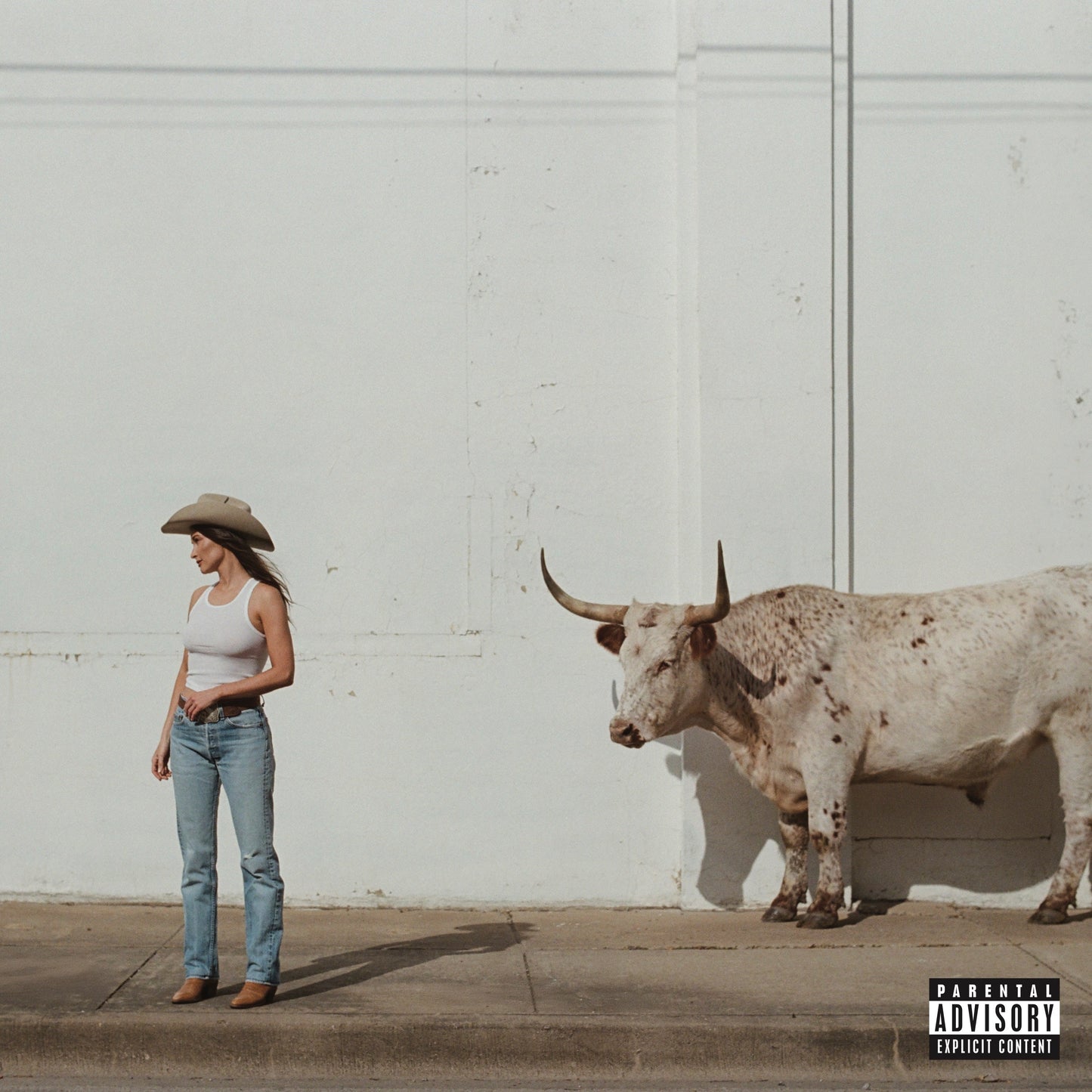 Middle Of Nowhere [Rodeo Clown Edition Vinyl]