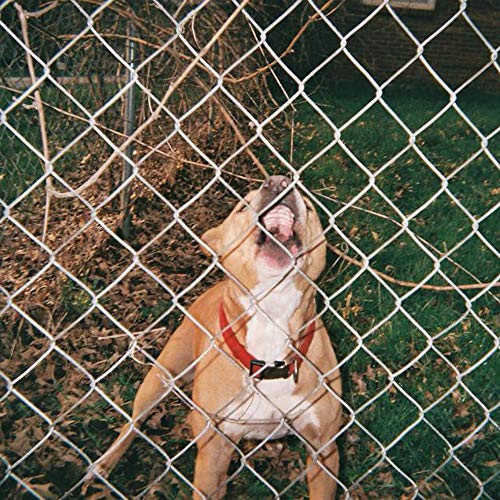 Pop Culture [Beer & Bone W/ Evergreen Splatter Vinyl]