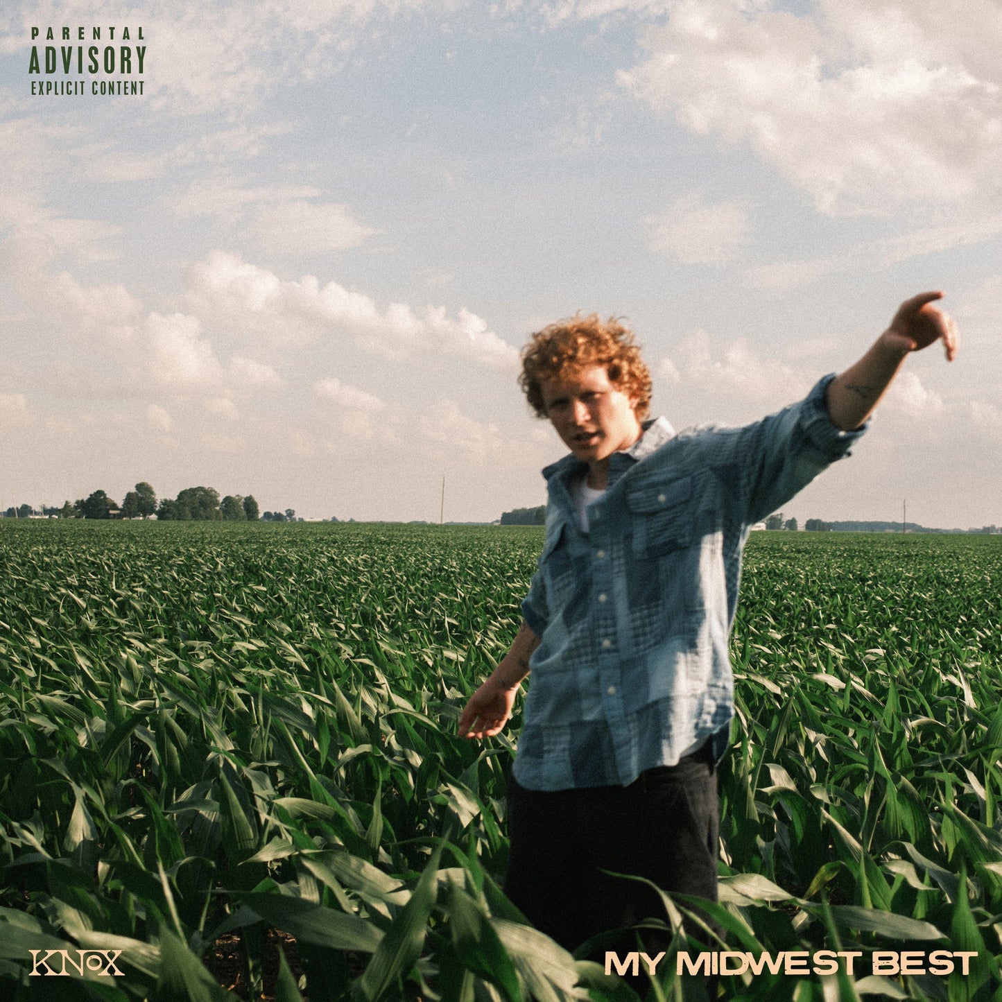 My Midwest Best [Pure Denim Vinyl]