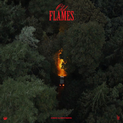La Roux Old Flames LP vinyl cover