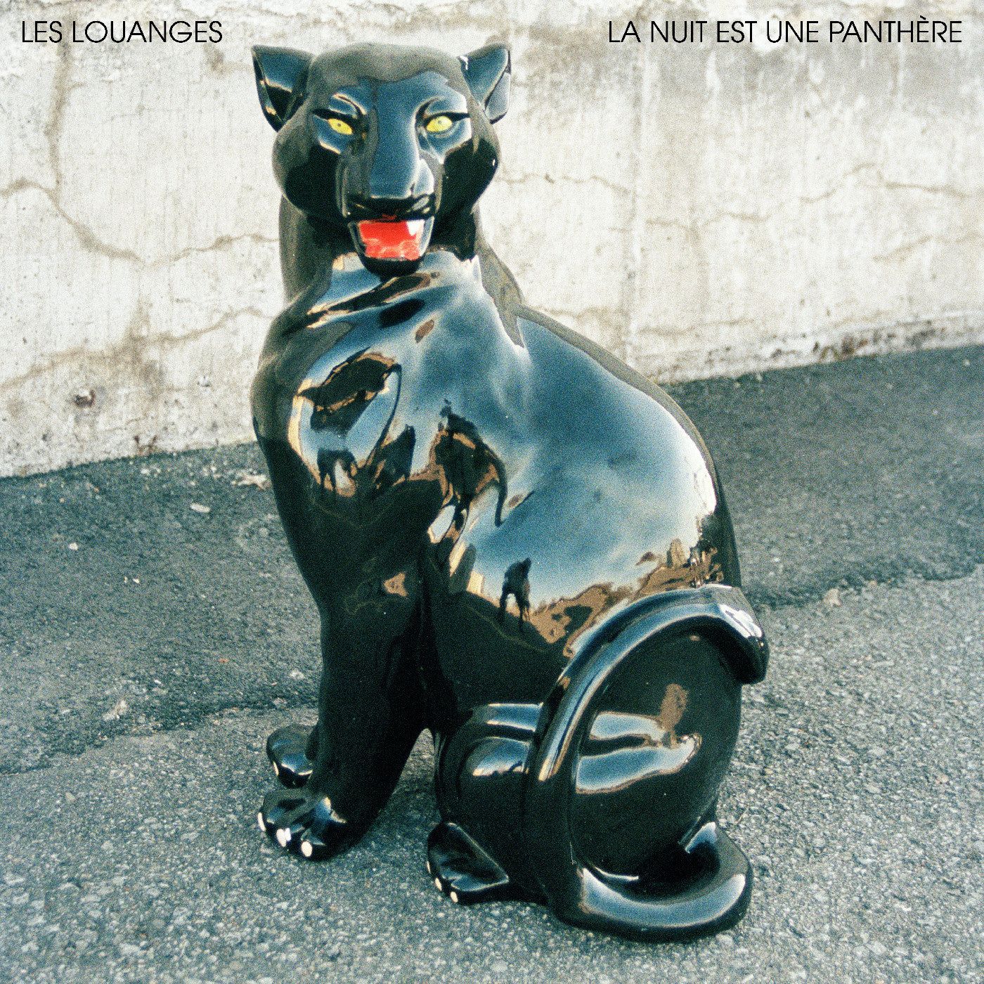 La Nuit Est Une Panthère