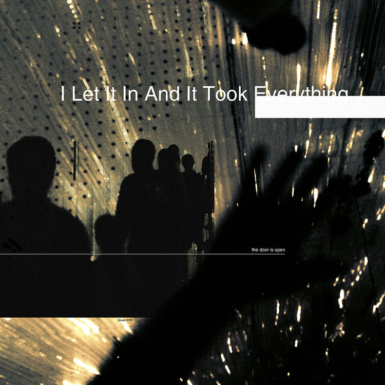 I Let It In And It Took Everything [Black Smoke] [2LP]