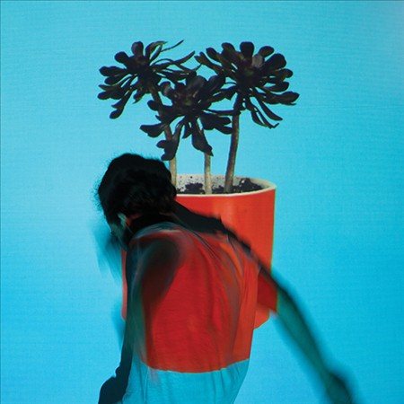 SUNLIT YOUTH (LP)