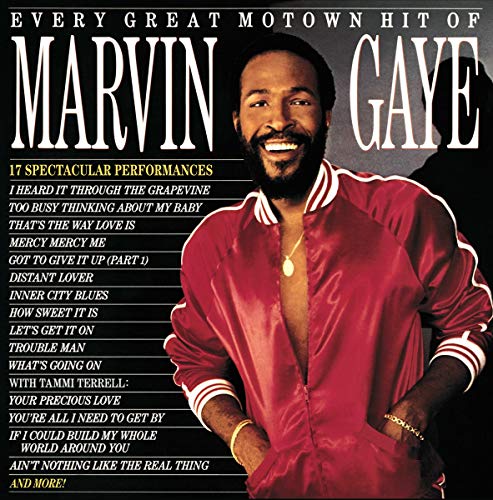 Every Great Motown Hit Of Marvin Gaye: 15 Spectacular Performances [LP]