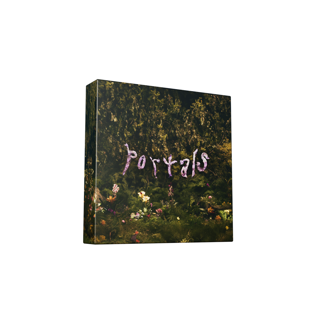 Portals (Deluxe) [2LP Vinyl]
