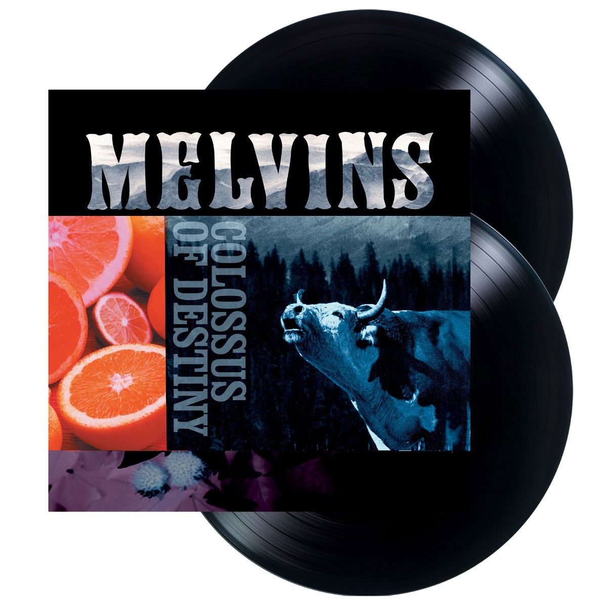 Colossus Of Destiny (2LP Vinyl Reissue)