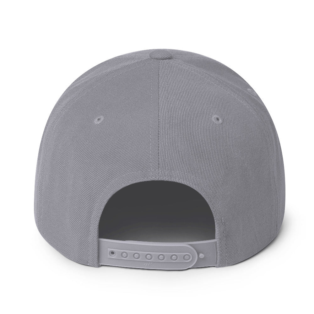 HIM Classic Logo Grey Embroidered Snap Back Hat