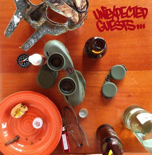 UNEXPECTED GUESTS