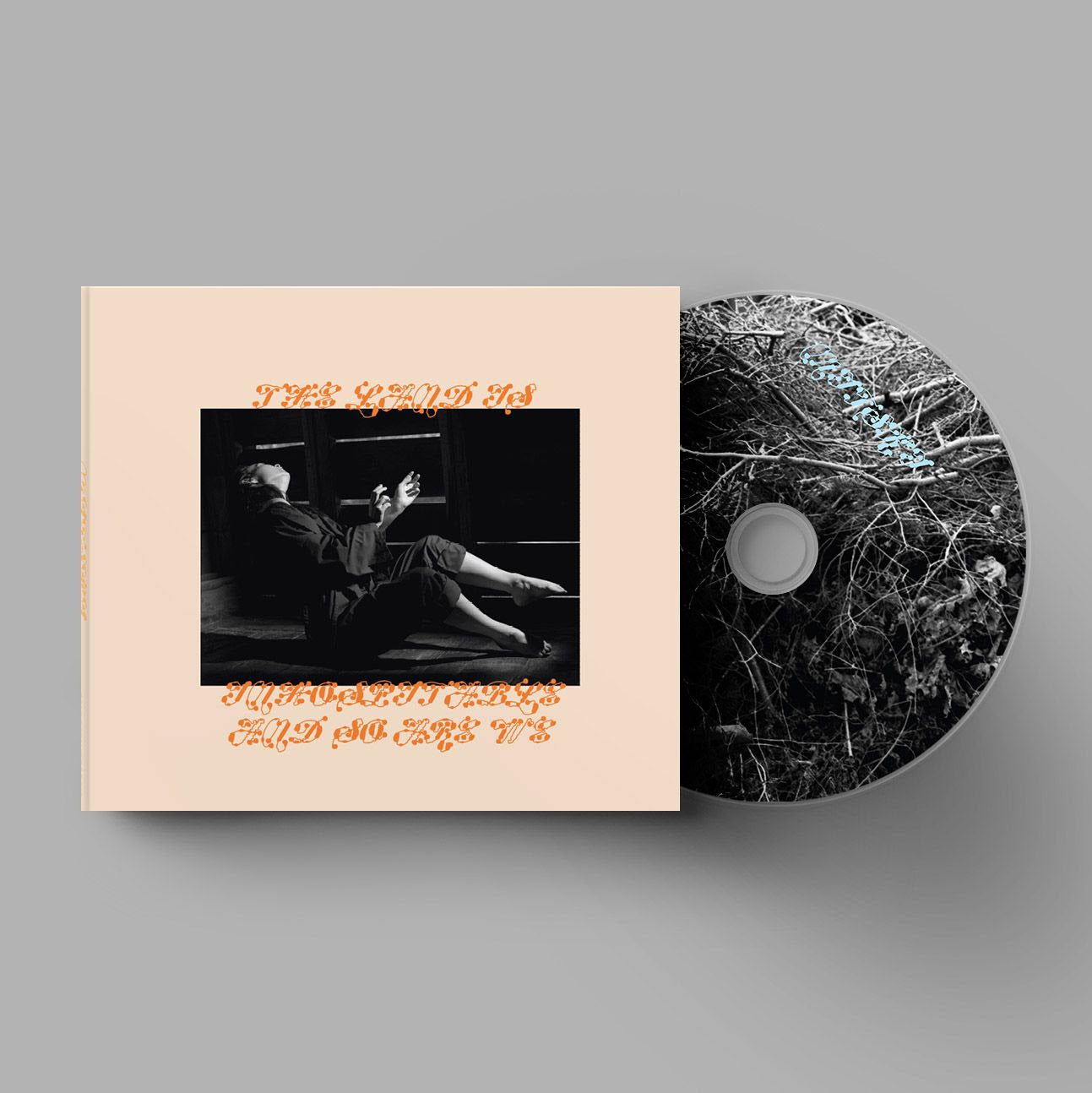 | The Land Is Inhospitable and So Are We (CD)