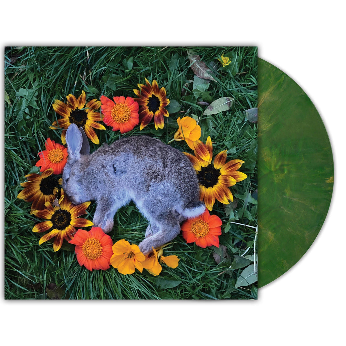 Your Time To Shine [Copper Emerald Vinyl]