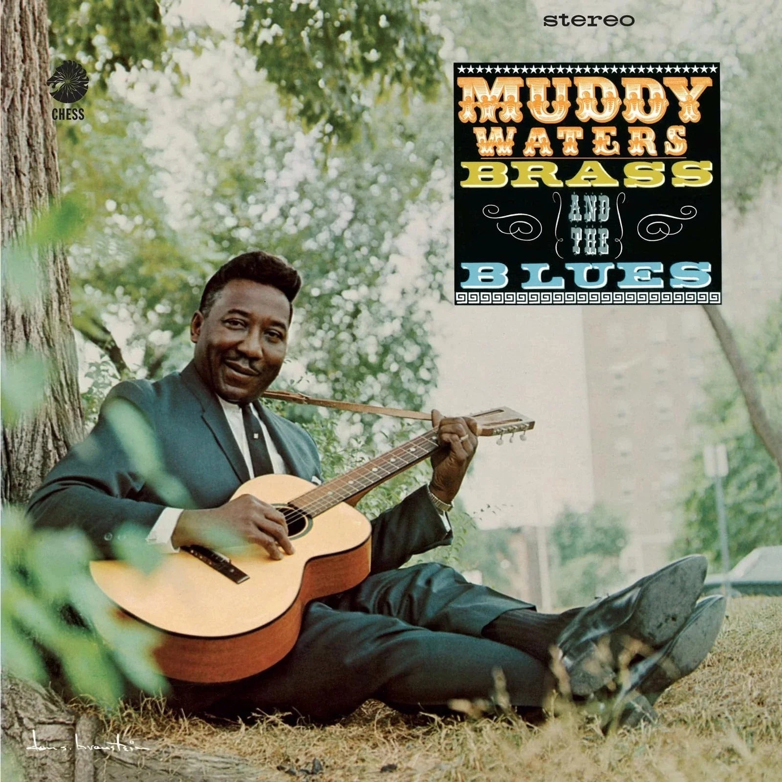 Muddy, Brass And The Blues (Chess Acoustic Sounds Series) [180G LP]