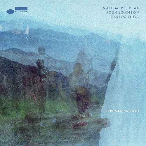 Openness Trio [180G Lp]