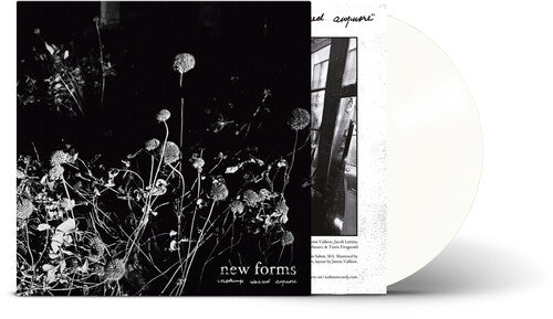 Nothing'S Sacred Anymore [Clear Vinyl]