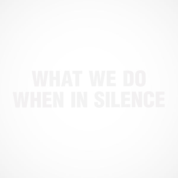 What We Do When In Silence [LP]