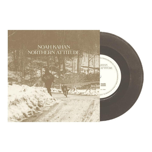 Northern Attitude (Black Ice Colored Vinyl with Poster) (7" Single) [Import]