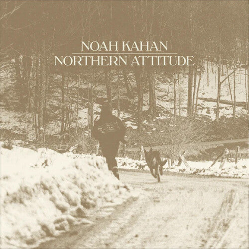 Northern Attitude (Black Ice Colored Vinyl with Poster) (7" Single) [Import]