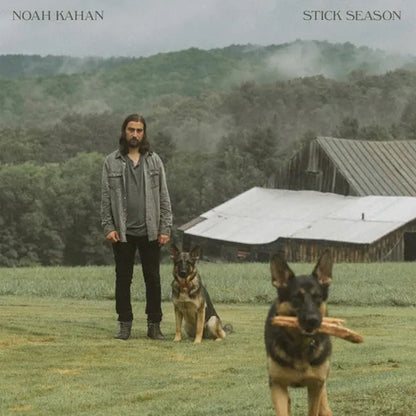Stick Season [Explicit Content] (Indie Exclusive, Colored Vinyl, Brown) (2 Lp's)
