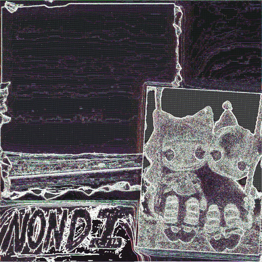 Nondi...