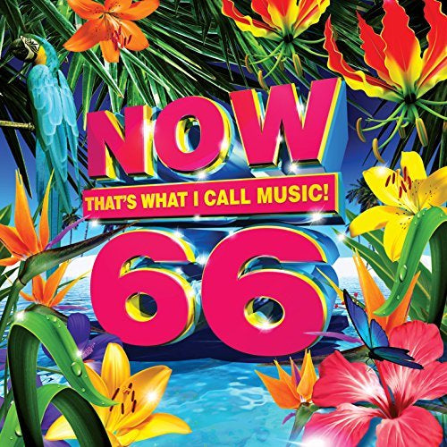Now 66 / Various