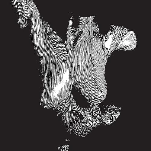 Self Preserved While The Bodies Float Up (15Th Anniversary) [3Lp]