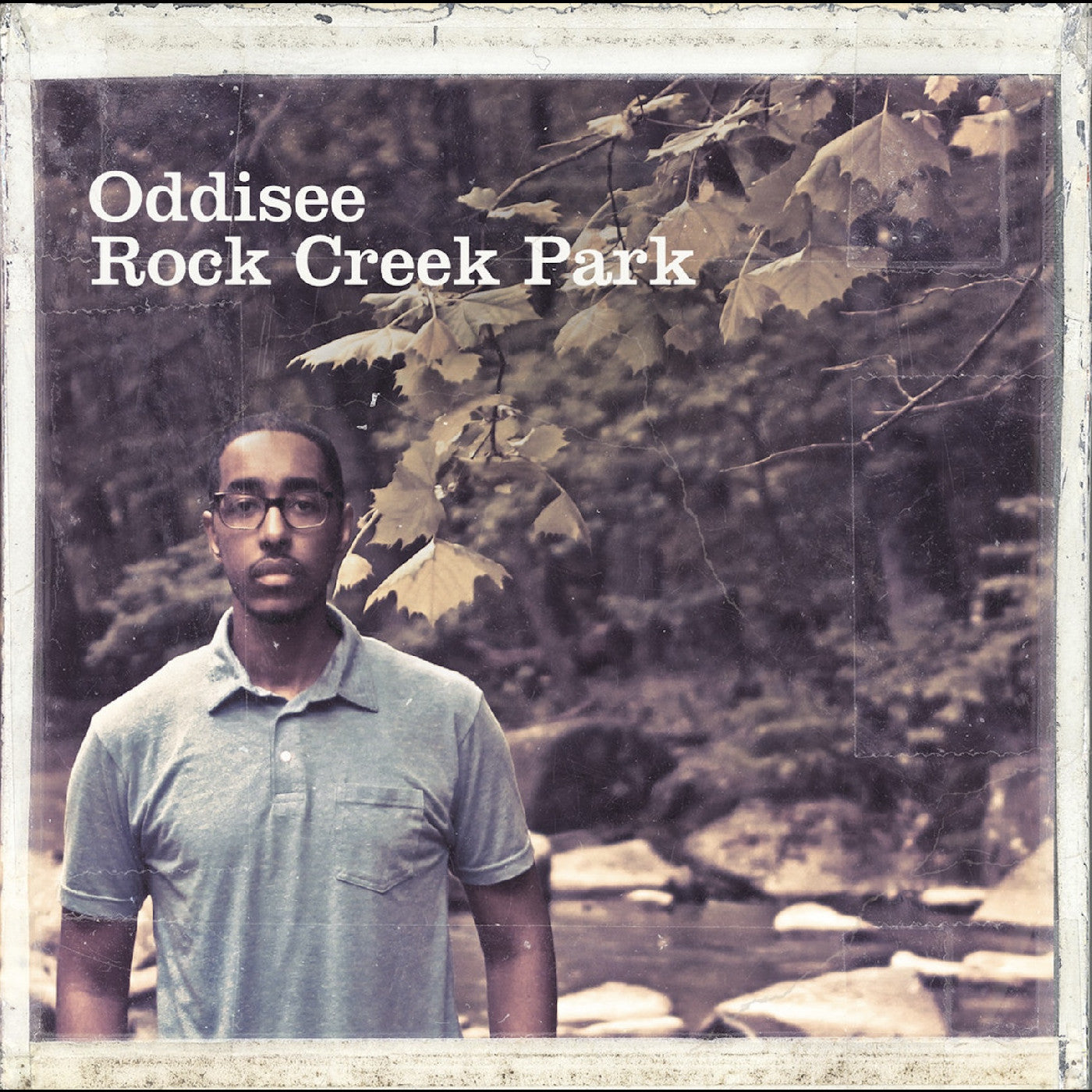 Rock Creek Park (Gold Forest Vinyl)