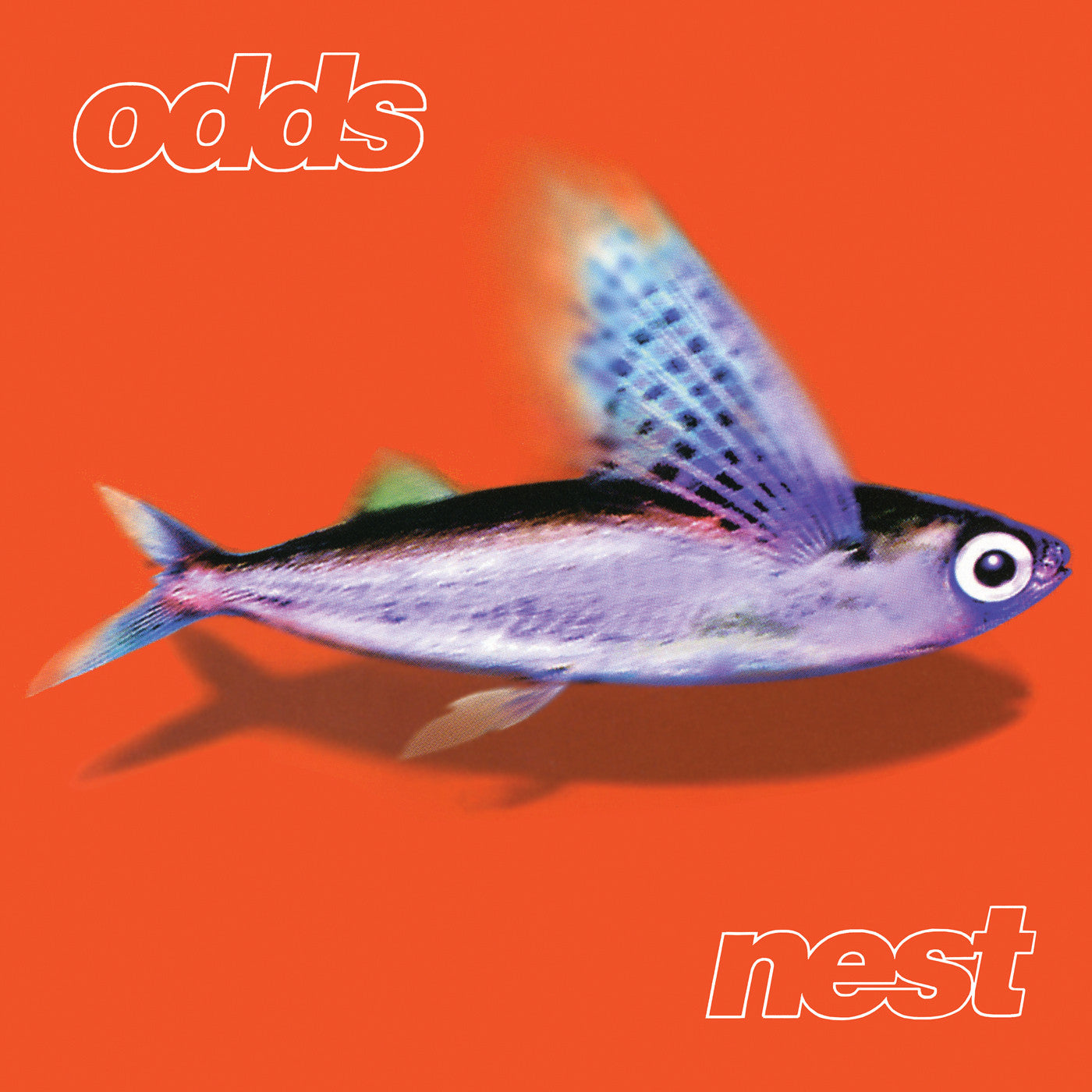 Nest