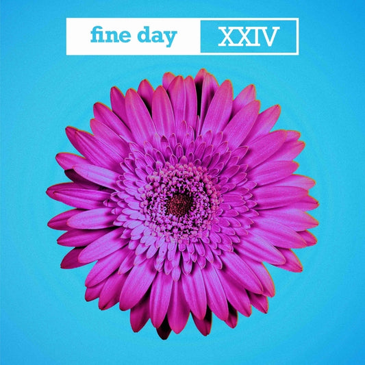 Fine Day Xxiv